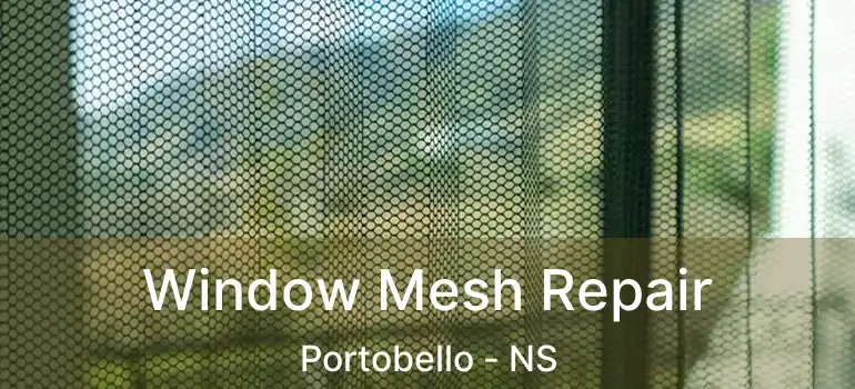  Window Mesh Repair Portobello - NS