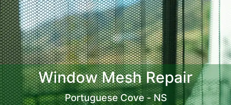  Window Mesh Repair Portuguese Cove - NS