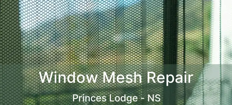  Window Mesh Repair Princes Lodge - NS