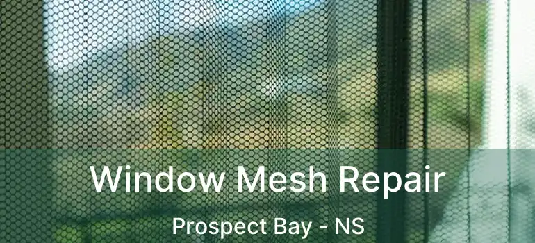  Window Mesh Repair Prospect Bay - NS