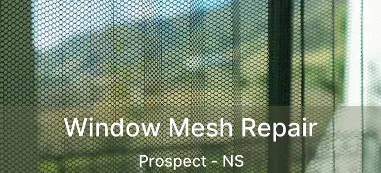  Window Mesh Repair Prospect - NS