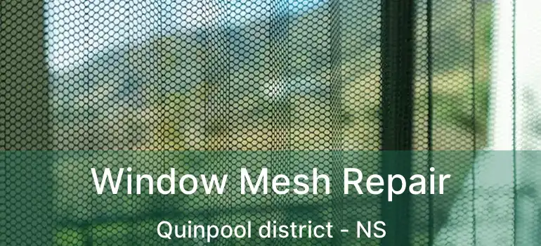  Window Mesh Repair Quinpool district - NS