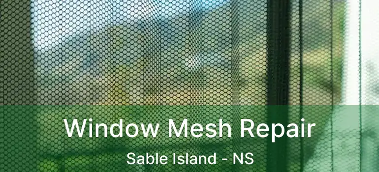  Window Mesh Repair Sable Island - NS