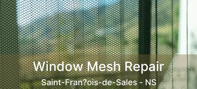  Window Mesh Repair Saint-Fran?ois-de-Sales - NS