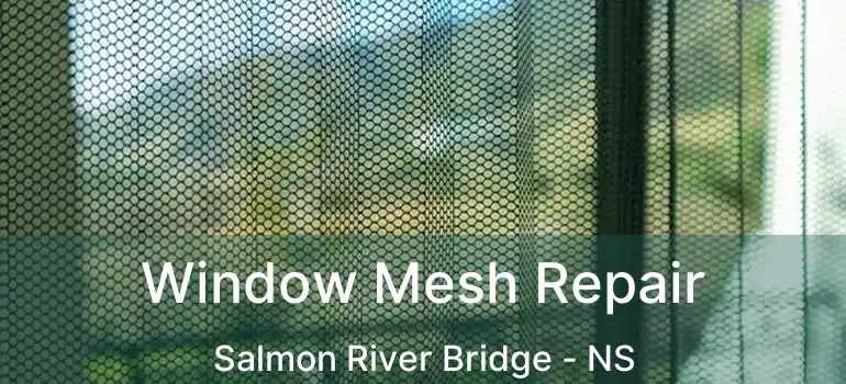  Window Mesh Repair Salmon River Bridge - NS