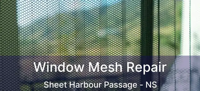  Window Mesh Repair Sheet Harbour Passage - NS