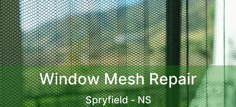  Window Mesh Repair Spryfield - NS