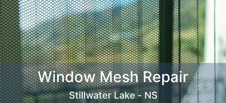  Window Mesh Repair Stillwater Lake - NS