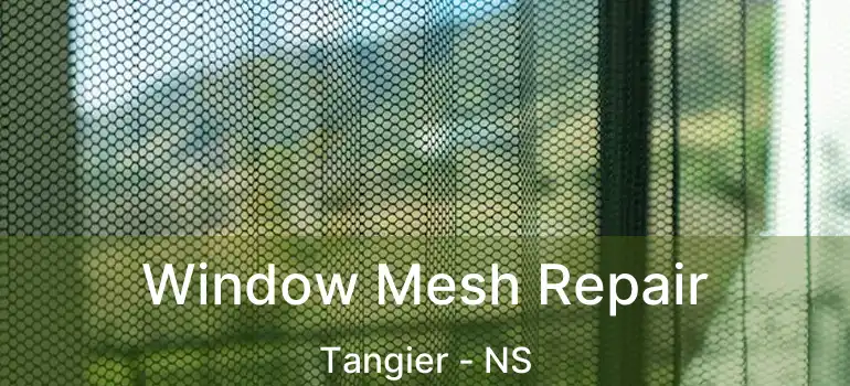  Window Mesh Repair Tangier - NS