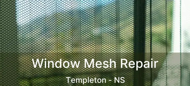  Window Mesh Repair Templeton - NS