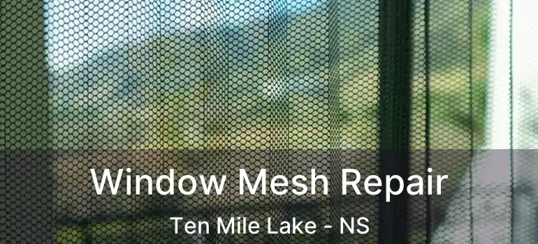  Window Mesh Repair Ten Mile Lake - NS