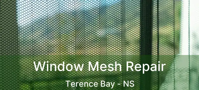  Window Mesh Repair Terence Bay - NS