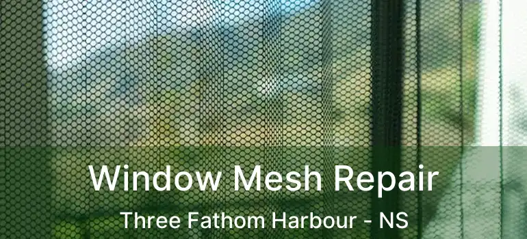  Window Mesh Repair Three Fathom Harbour - NS