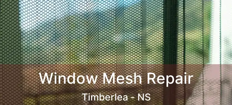  Window Mesh Repair Timberlea - NS