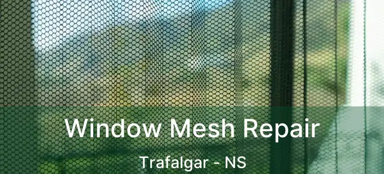  Window Mesh Repair Trafalgar - NS