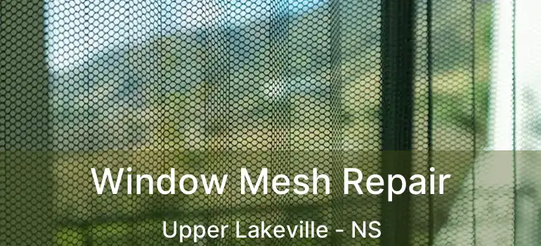  Window Mesh Repair Upper Lakeville - NS