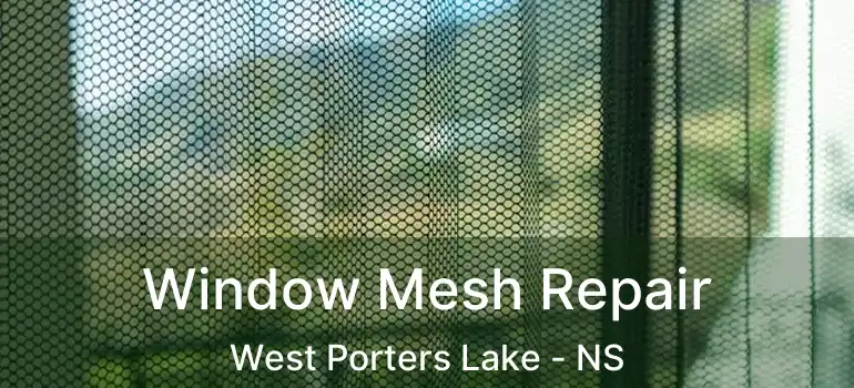  Window Mesh Repair West Porters Lake - NS