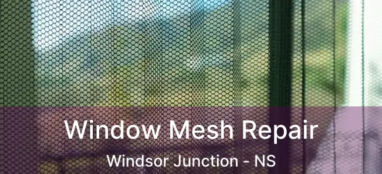  Window Mesh Repair Windsor Junction - NS