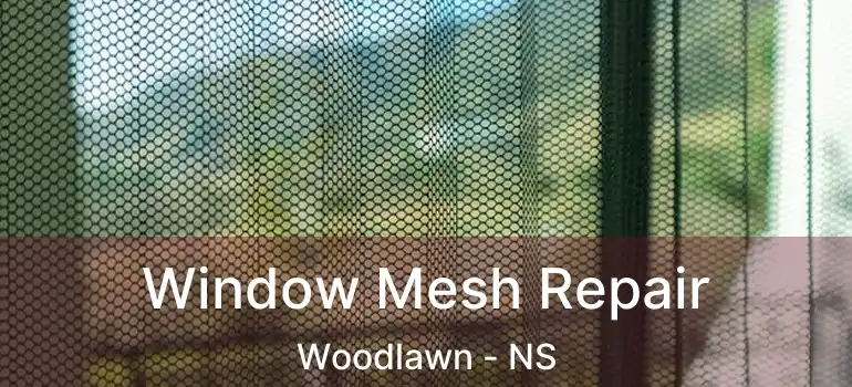  Window Mesh Repair Woodlawn - NS