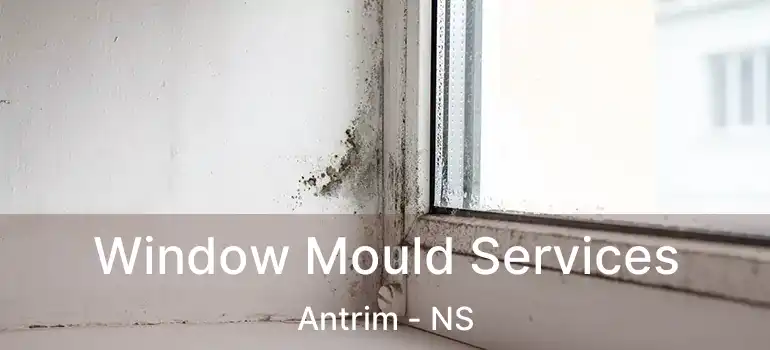  Window Mould Services Antrim - NS