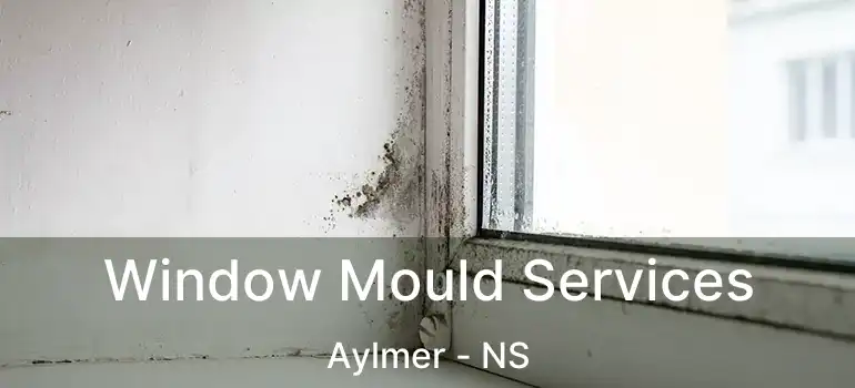  Window Mould Services Aylmer - NS