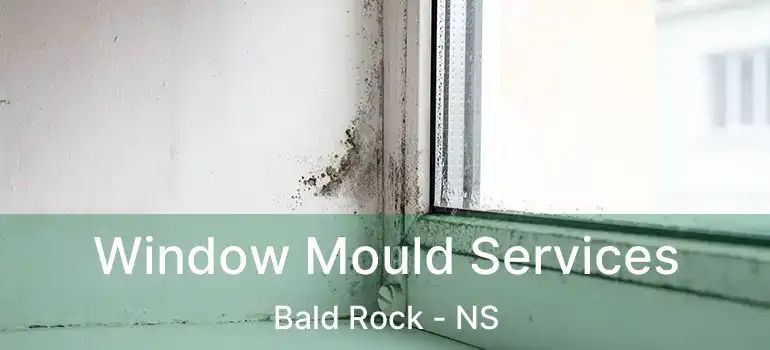  Window Mould Services Bald Rock - NS