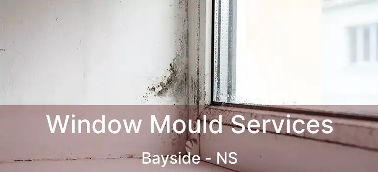  Window Mould Services Bayside - NS