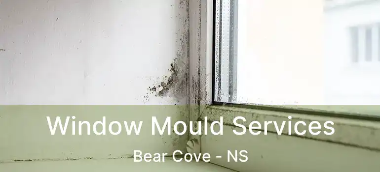  Window Mould Services Bear Cove - NS