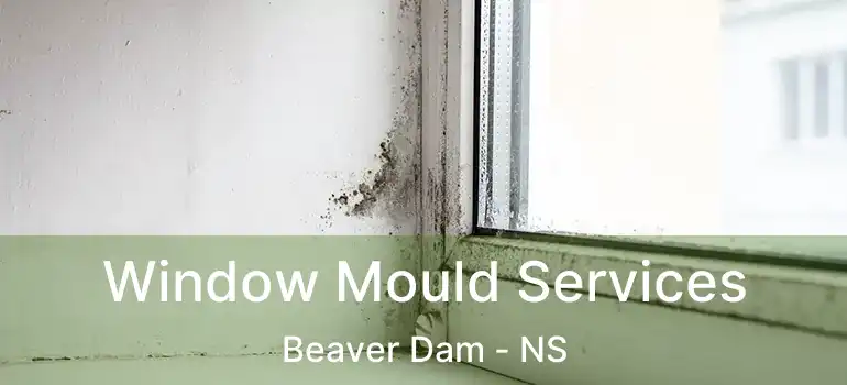  Window Mould Services Beaver Dam - NS