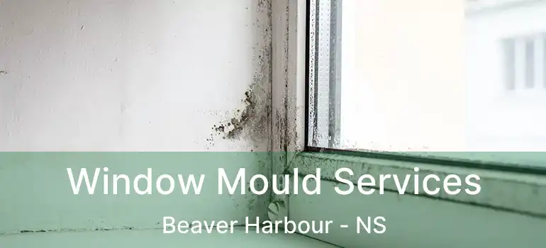  Window Mould Services Beaver Harbour - NS