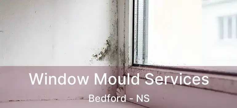  Window Mould Services Bedford - NS