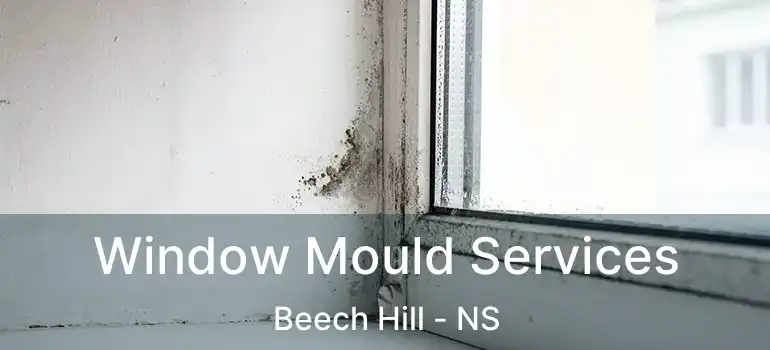  Window Mould Services Beech Hill - NS