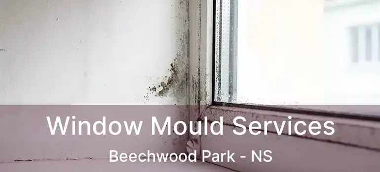  Window Mould Services Beechwood Park - NS