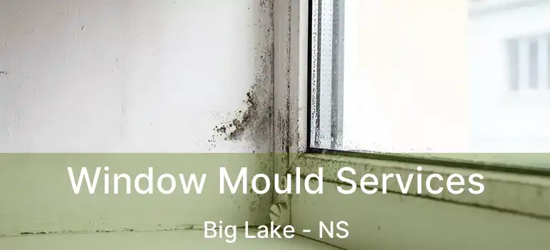  Window Mould Services Big Lake - NS