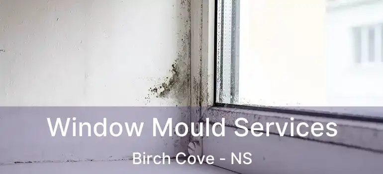  Window Mould Services Birch Cove - NS