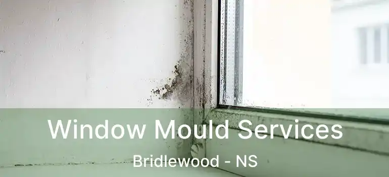  Window Mould Services Bridlewood - NS