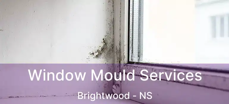  Window Mould Services Brightwood - NS