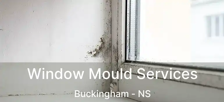  Window Mould Services Buckingham - NS