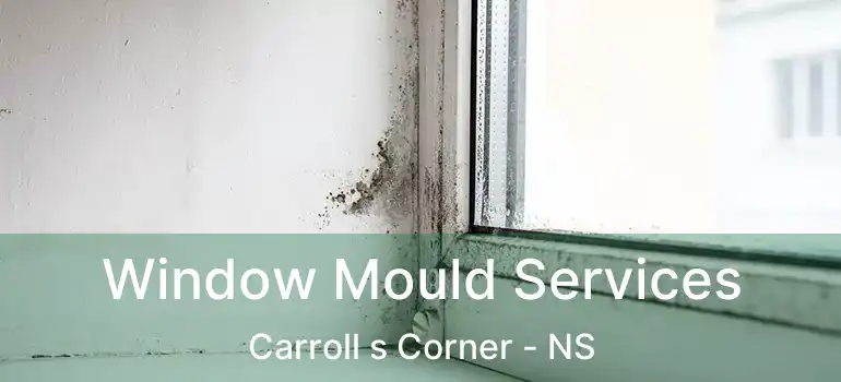  Window Mould Services Carroll s Corner - NS