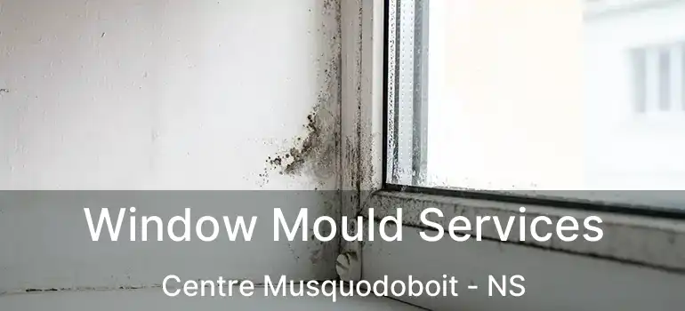  Window Mould Services Centre Musquodoboit - NS