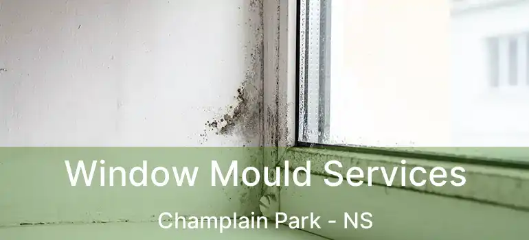  Window Mould Services Champlain Park - NS