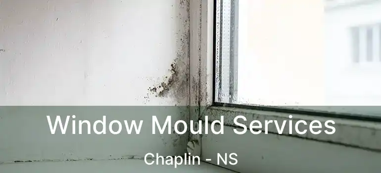  Window Mould Services Chaplin - NS