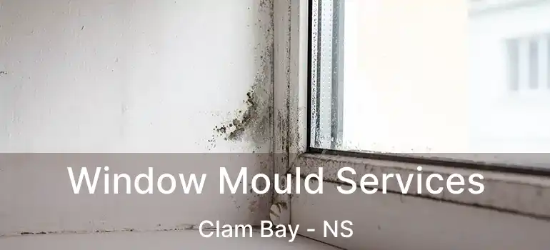  Window Mould Services Clam Bay - NS