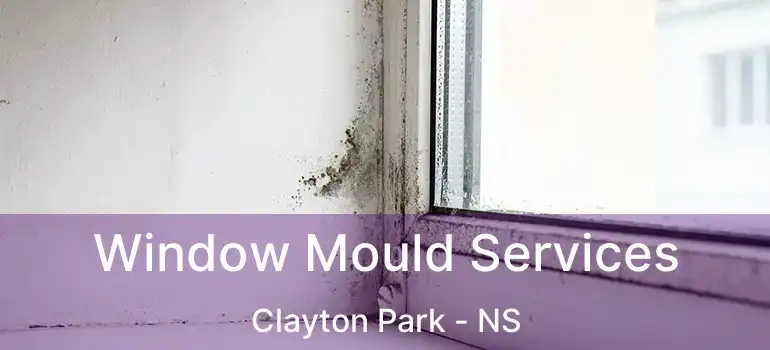  Window Mould Services Clayton Park - NS