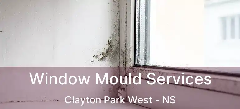  Window Mould Services Clayton Park West - NS