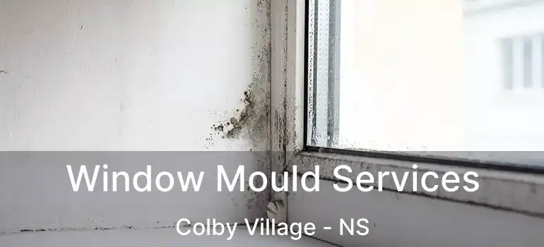  Window Mould Services Colby Village - NS