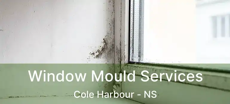  Window Mould Services Cole Harbour - NS