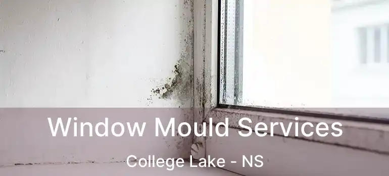  Window Mould Services College Lake - NS