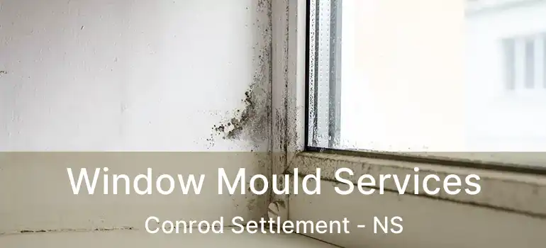  Window Mould Services Conrod Settlement - NS