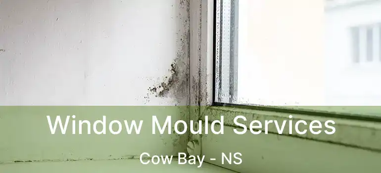  Window Mould Services Cow Bay - NS